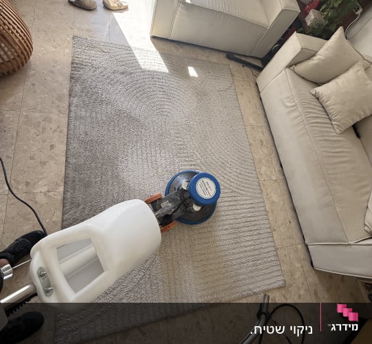 ניקוי שטיח עם מכונת ניקוי בסלון